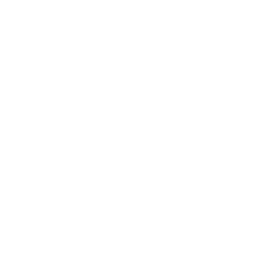 Big Brain